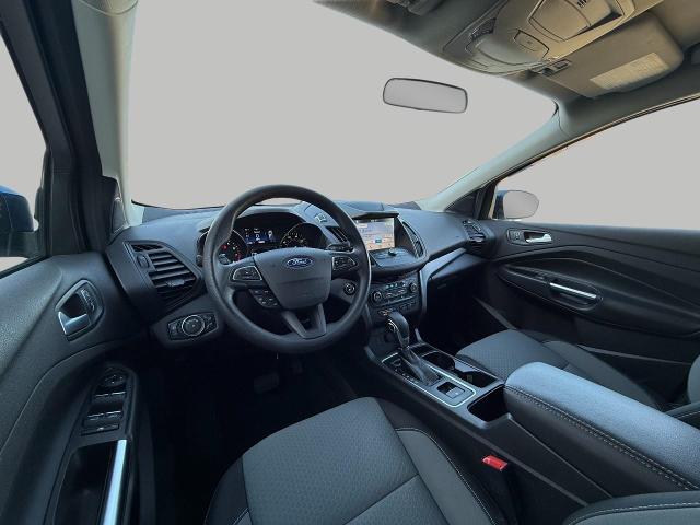 2019 Ford Escape Vehicle Photo in Appleton, WI 54914