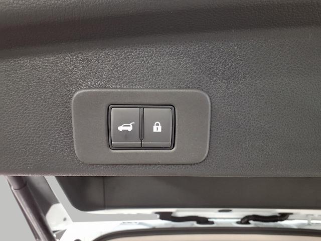 2025 Nissan Murano Vehicle Photo in Oshkosh, WI 54904