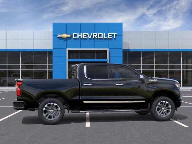 2025 Chevrolet Silverado 1500 Vehicle Photo in SAVANNAH, GA 31406-4513