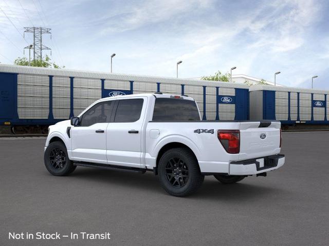 2025 Ford F-150 Vehicle Photo in Winslow, AZ 86047-2439