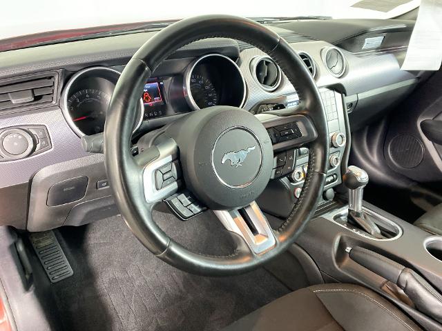 2019 Ford Mustang Vehicle Photo in ALLIANCE, OH 44601-4622