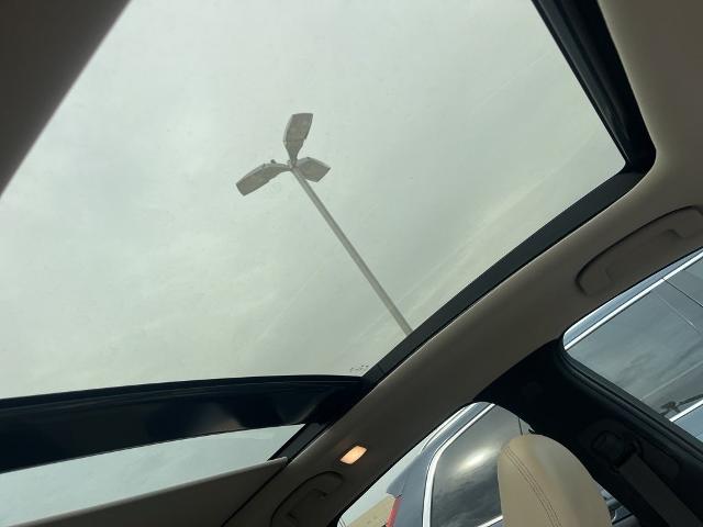 2019 INFINITI QX50 Vehicle Photo in San Antonio, TX 78230