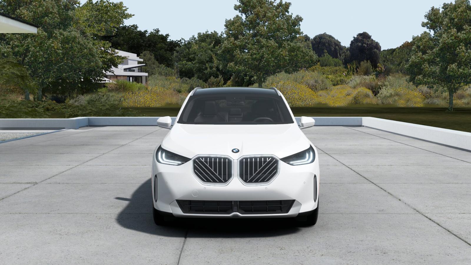 2025 BMW X3 30 xDrive Vehicle Photo in GRAPEVINE, TX 76051