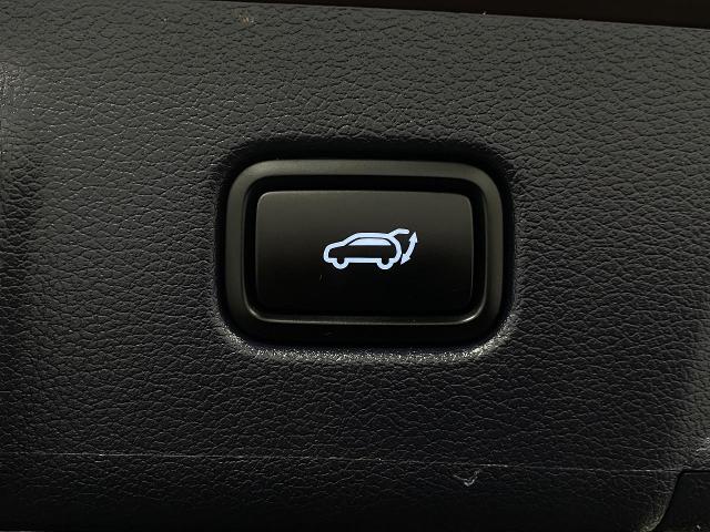 2024 Hyundai PALISADE Vehicle Photo in Appleton, WI 54913