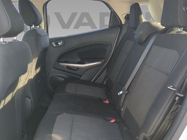 2021 Ford EcoSport Vehicle Photo in Brunswick, GA 31525