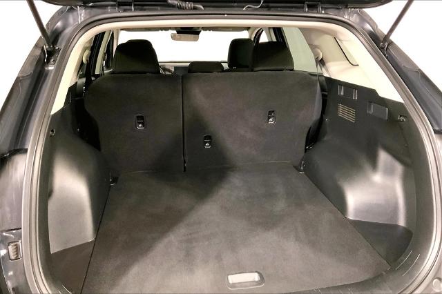 2023 Kia Sportage Vehicle Photo in Lees Summit, MO 64086