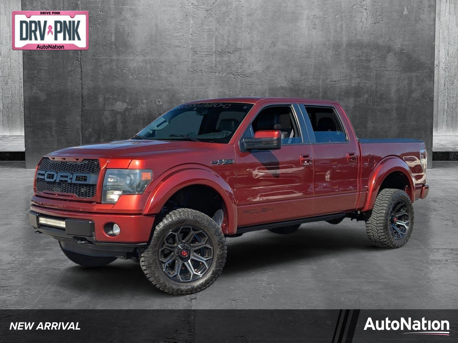 2014 Ford F-150 Vehicle Photo in St. Petersburg, FL 33713