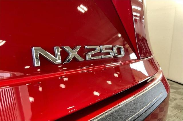 2024 Lexus NX 250 Vehicle Photo in Tulsa, OK 74129