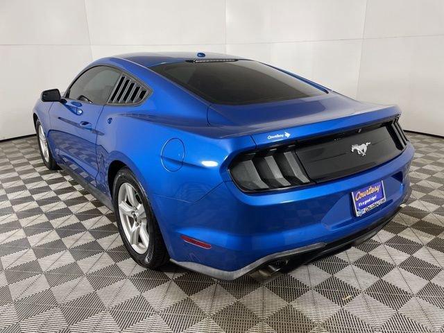 2019 Ford Mustang Vehicle Photo in PHOENIX, AZ 85014-3381