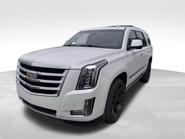 2019 Cadillac Escalade Vehicle Photo in DELRAY BEACH, FL 33483-3294