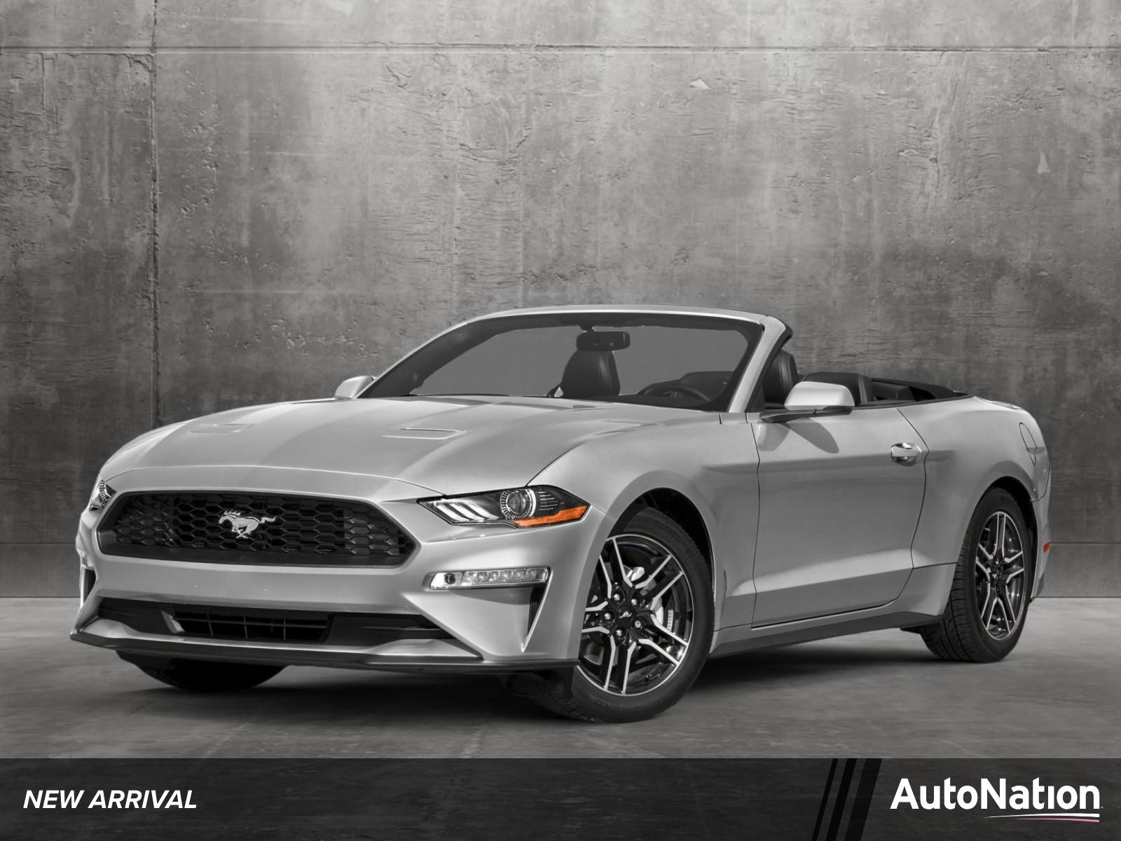 2019 Ford Mustang Vehicle Photo in St. Petersburg, FL 33713