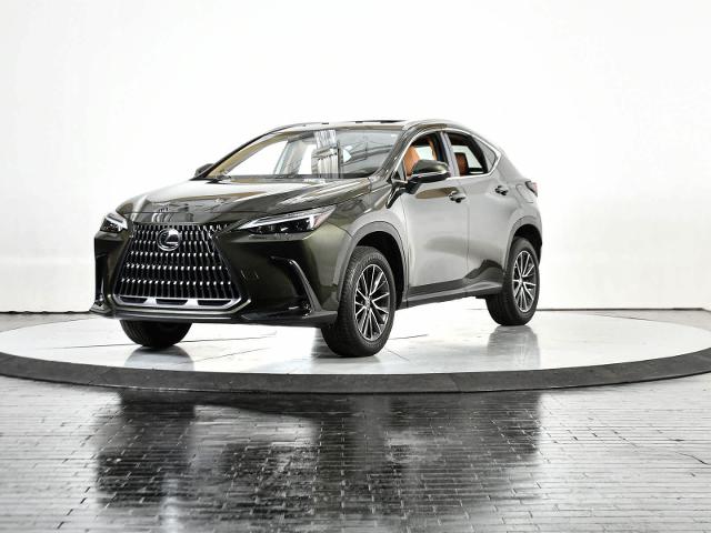 2024 Lexus NX 250 Vehicle Photo in DALLAS, TX 75235