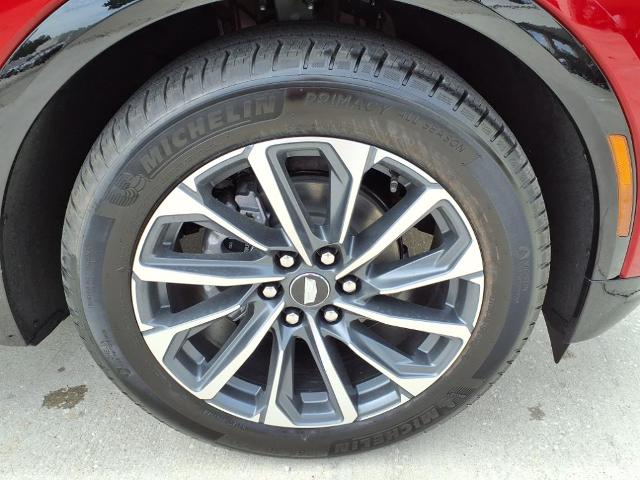 2025 Cadillac LYRIQ Vehicle Photo in Tampa, FL 33612