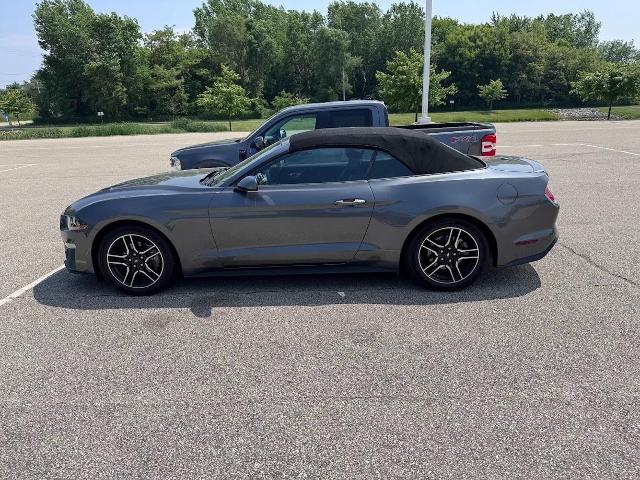 2022 Ford Mustang Vehicle Photo in Oshkosh, WI 54901