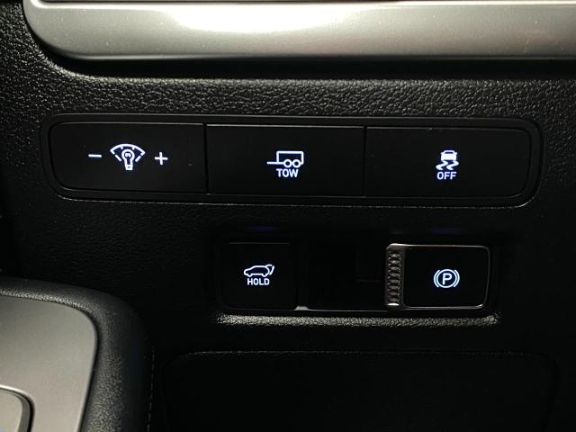 2024 Hyundai PALISADE Vehicle Photo in Appleton, WI 54913