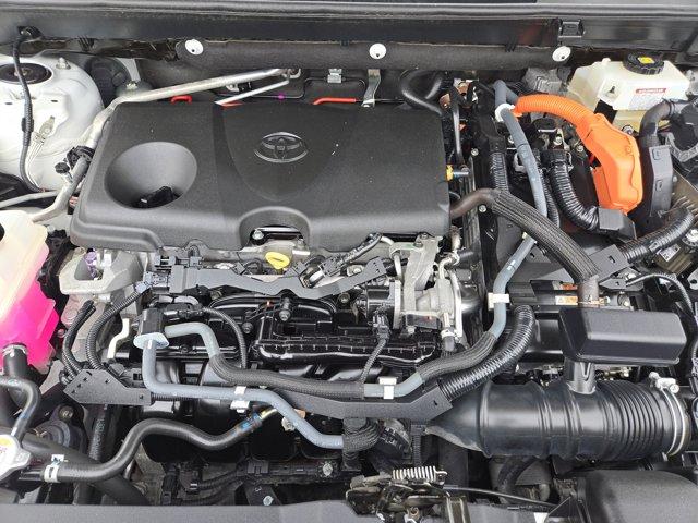 2020 Toyota RAV4 Vehicle Photo in Decatur, TX 76234