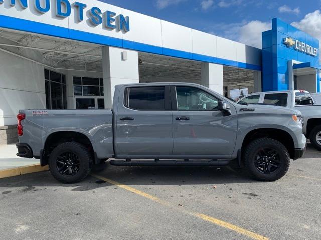 2024 Chevrolet Silverado 1500 Vehicle Photo in POST FALLS, ID 83854-5365