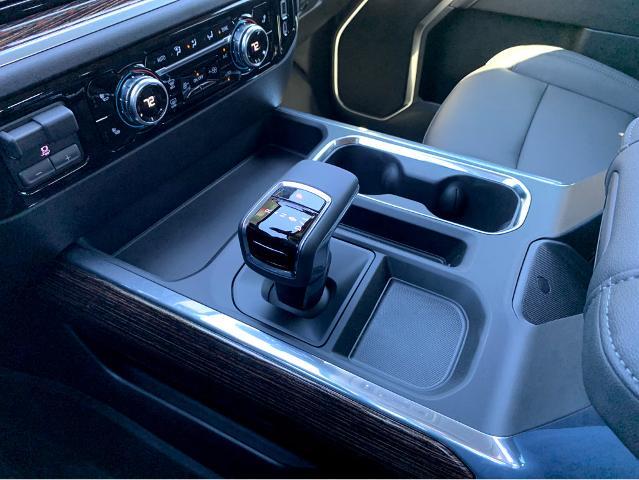 2025 GMC Sierra 1500 Vehicle Photo in BEAUFORT, SC 29906-4218