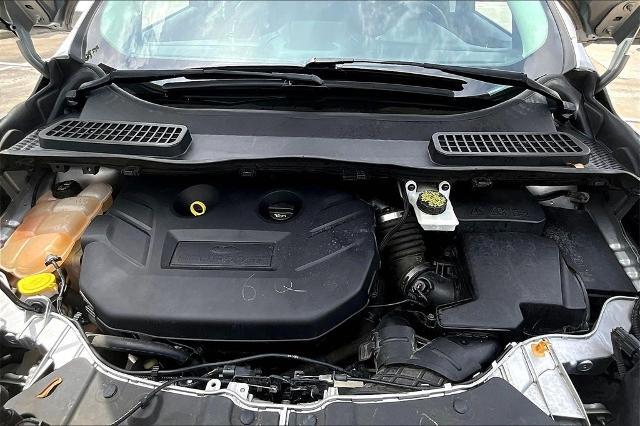 2016 Ford Escape Vehicle Photo in San Antonio, TX 78230