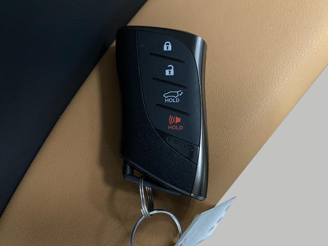 2025 Lexus UX 300h Vehicle Photo in Appleton, WI 54913
