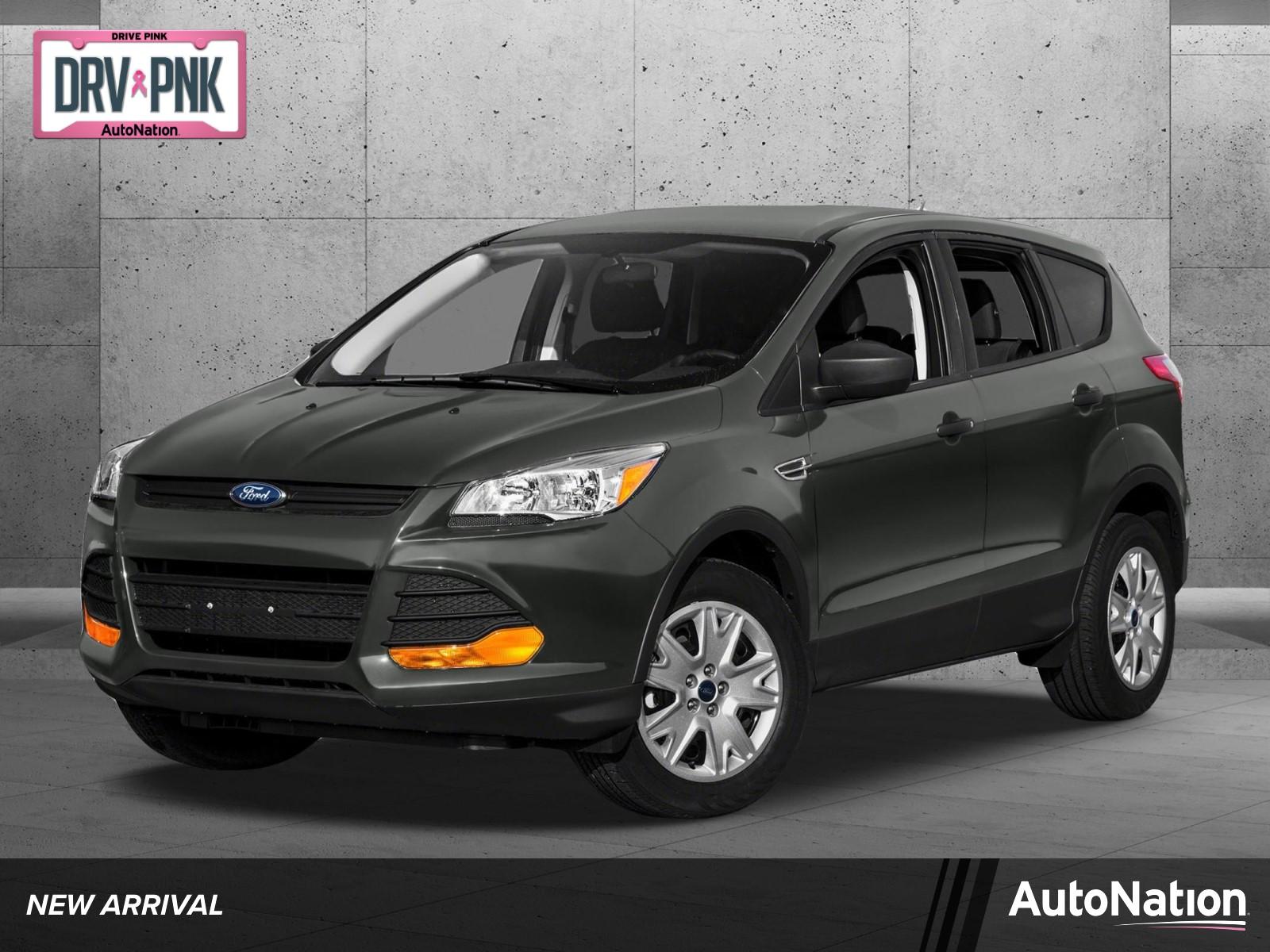 2015 Ford Escape Vehicle Photo in St. Petersburg, FL 33713