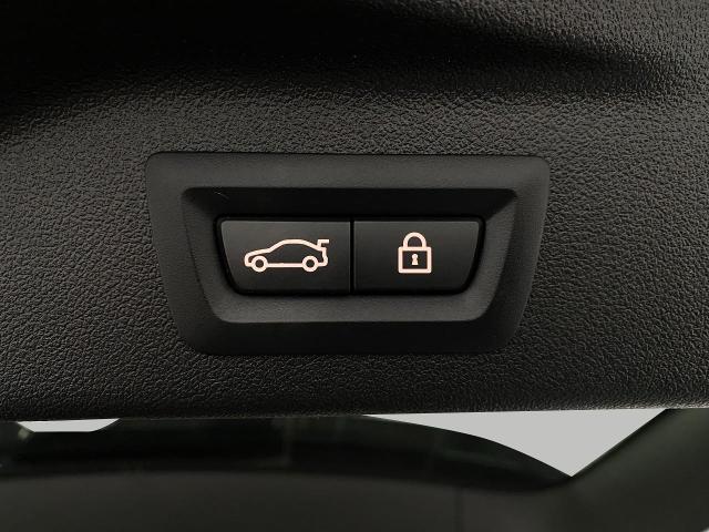 2022 BMW X7 xDrive40i Vehicle Photo in Appleton, WI 54913