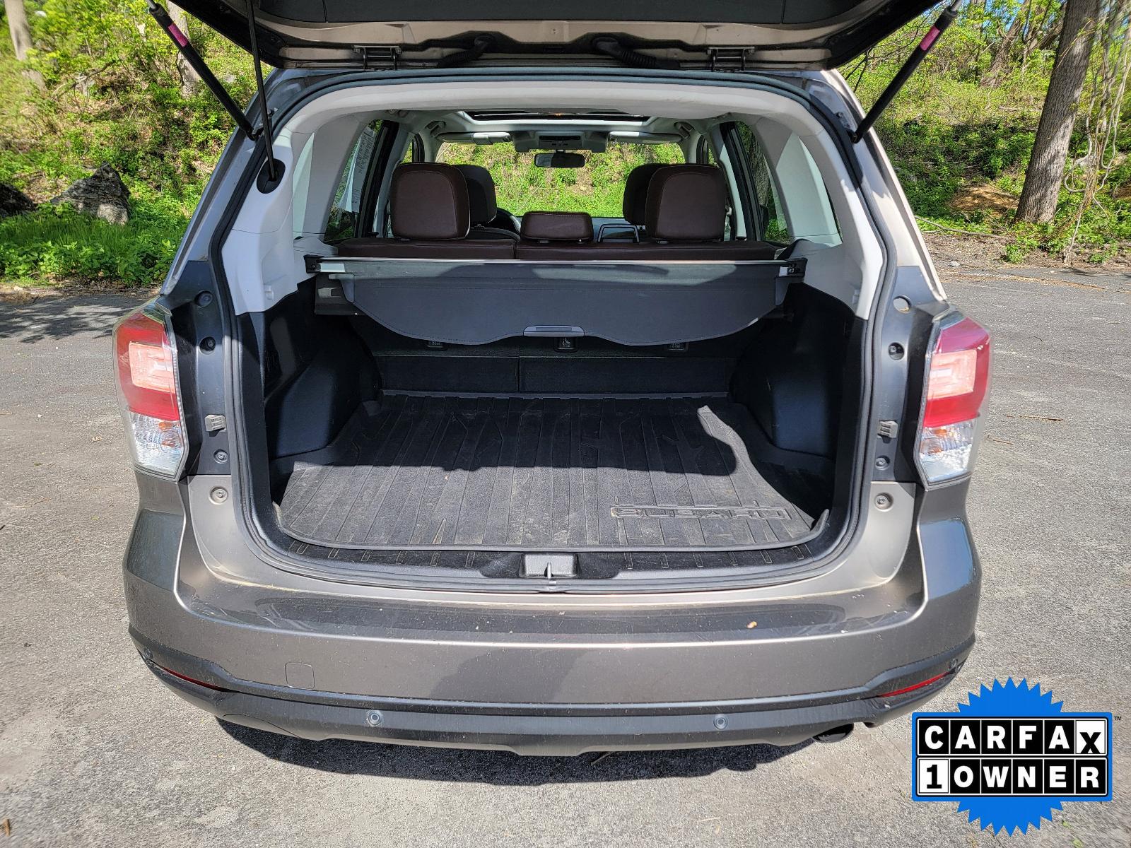 2018 Subaru Forester Vehicle Photo in Harrisburg, PA 17111