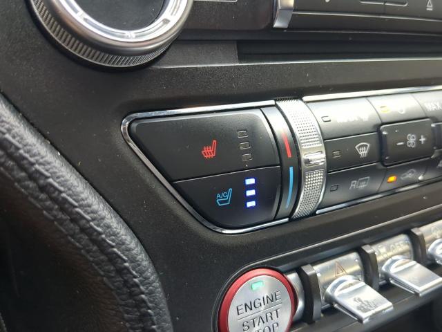 2018 Ford Mustang Vehicle Photo in Brunswick, GA 31525