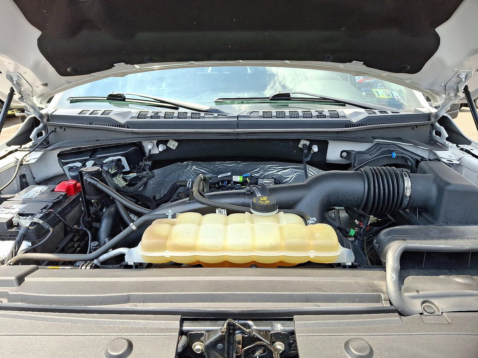 2019 Ford F-150 Vehicle Photo in Trevose, PA 19053