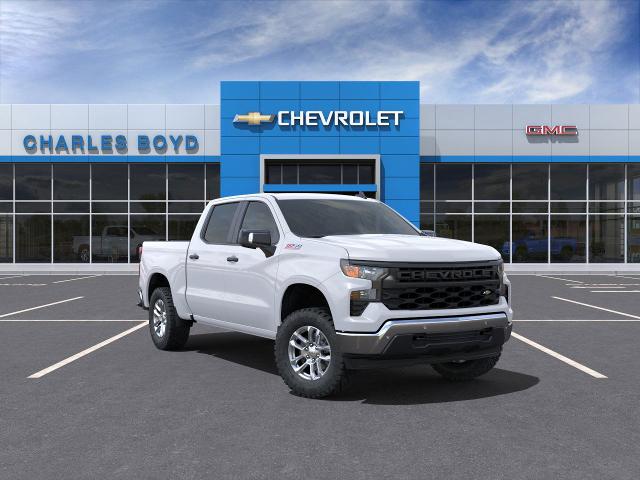 2025 Chevrolet Silverado 1500 Vehicle Photo in HENDERSON, NC 27536-2966