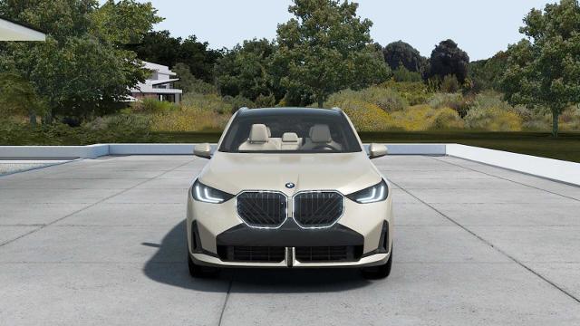 2025 BMW X3 30 xDrive Vehicle Photo in GRAPEVINE, TX 76051