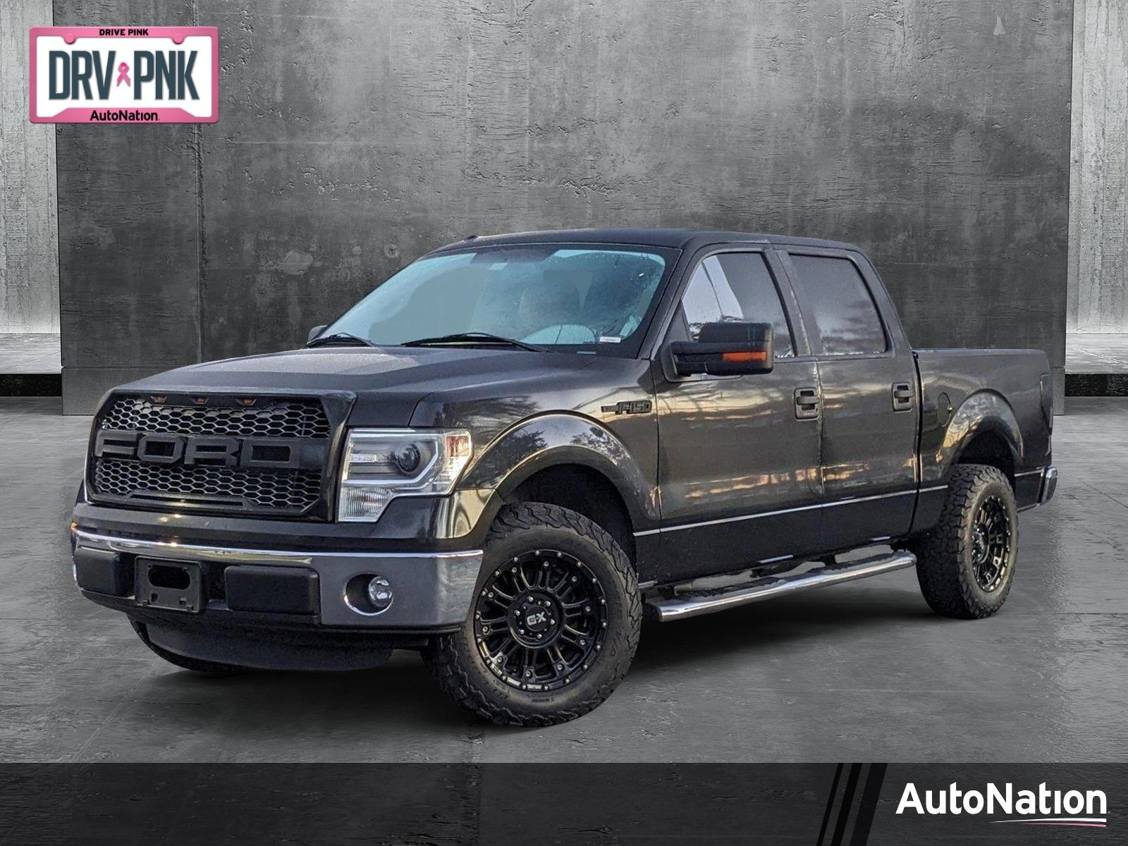 2014 Ford F-150 Vehicle Photo in Sanford, FL 32771