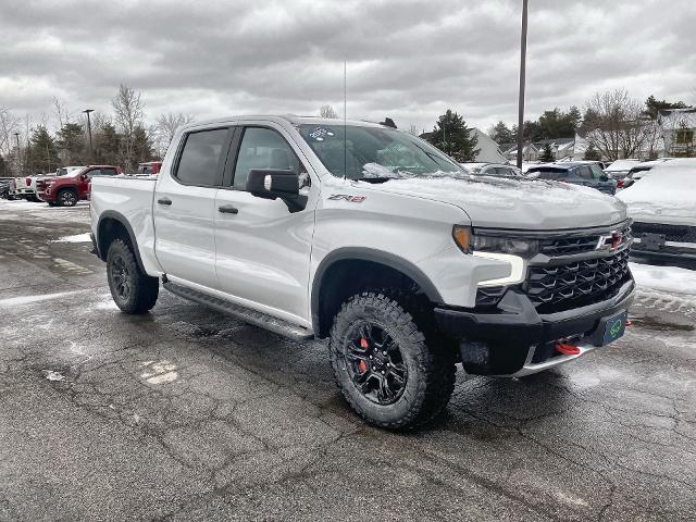 2023 Chevrolet Silverado 1500 Vehicle Photo in WILLIAMSVILLE, NY 14221-2883