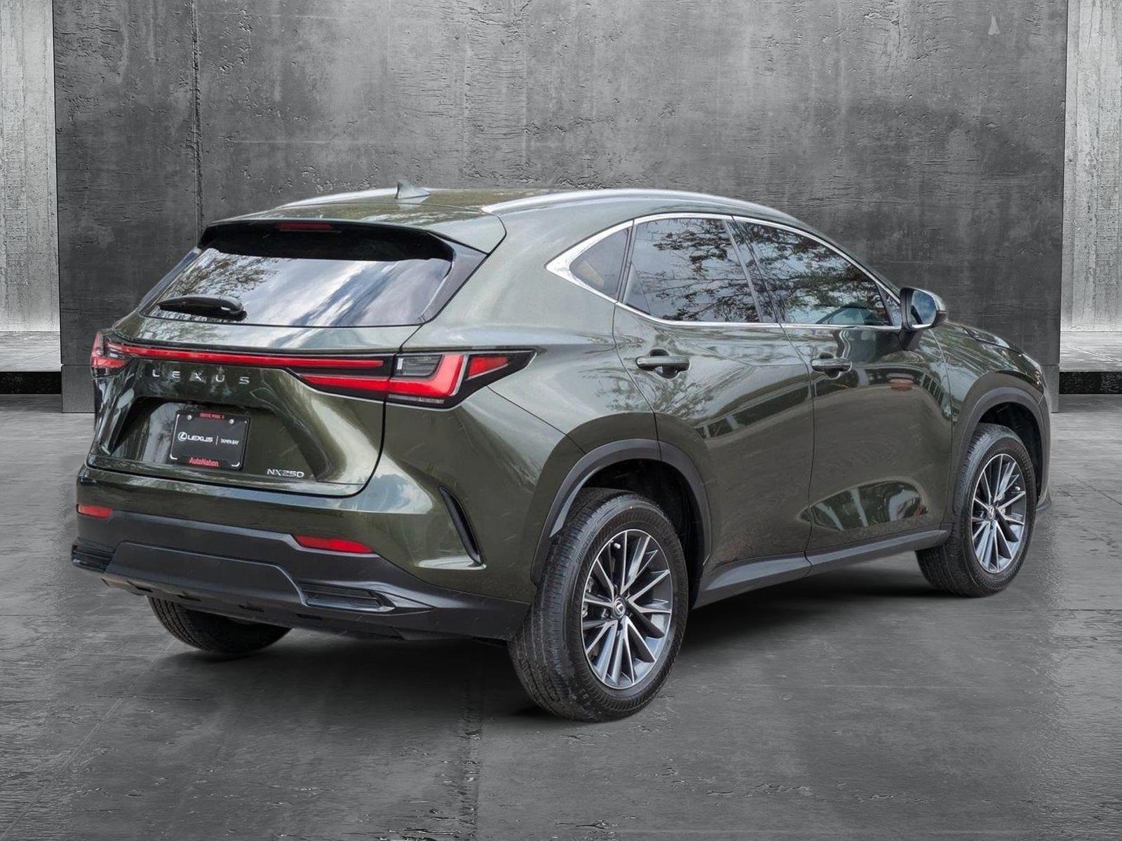 2024 Lexus NX 250 Vehicle Photo in Tampa, FL 33614