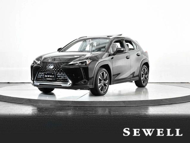 2021 Lexus UX 200 Vehicle Photo in DALLAS, TX 75235