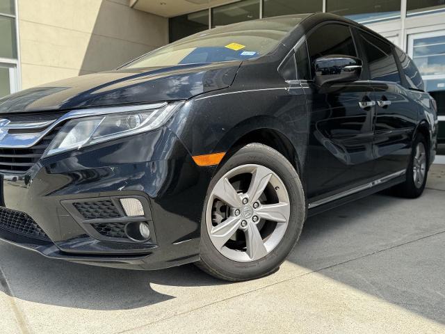 2020 Honda Odyssey Vehicle Photo in San Antonio, TX 78230