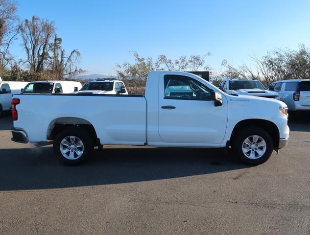 2023 Chevrolet Silverado 1500 Vehicle Photo in JASPER, GA 30143-8655