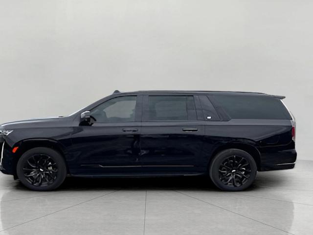 2024 Cadillac Escalade ESV Vehicle Photo in APPLETON, WI 54914-8833