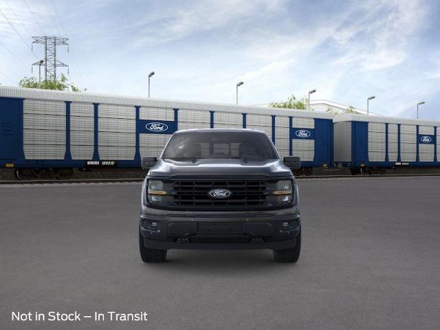 2025 Ford F-150 Vehicle Photo in Weatherford, TX 76087
