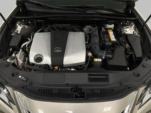 2019 Lexus ES 350 Vehicle Photo in Appleton, WI 54913