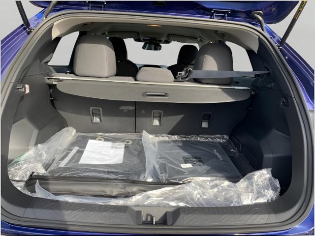 2025 Subaru Crosstrek Vehicle Photo in Oshkosh, WI 54904