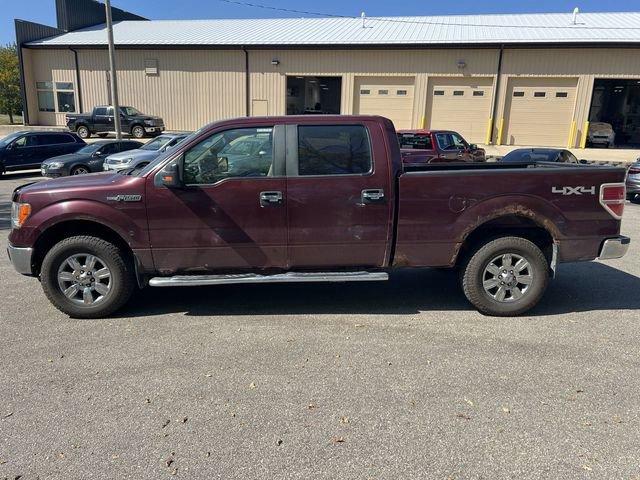 2010 Ford F-150 Vehicle Photo in Marion, IA 52302