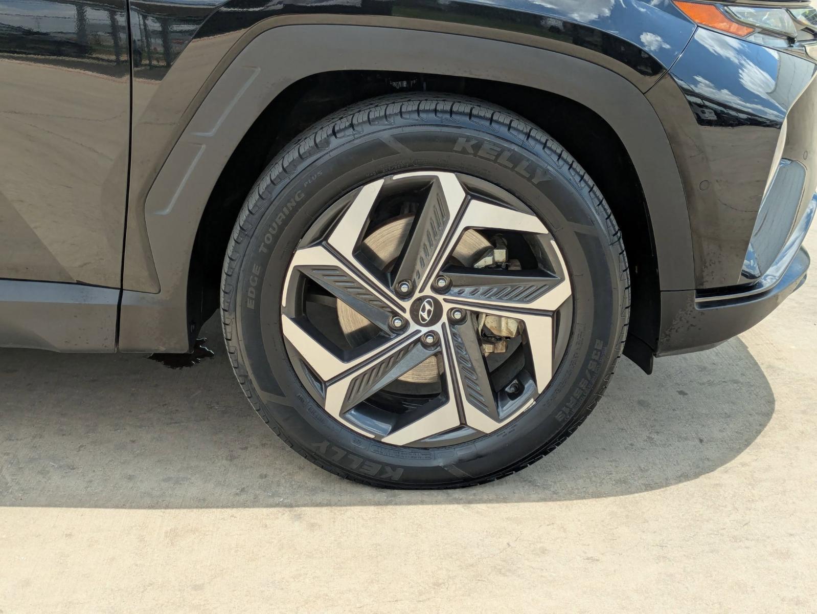 2023 Hyundai Tucson Vehicle Photo in SELMA, TX 78154-1460