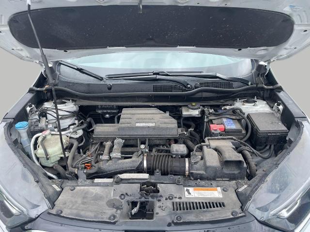 2020 Honda CR-V Vehicle Photo in Oshkosh, WI 54904