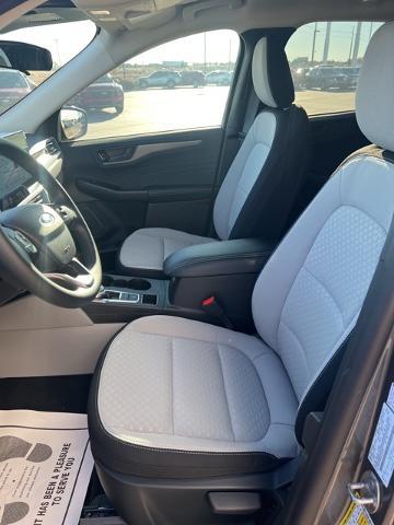 2025 Ford Escape Vehicle Photo in Winslow, AZ 86047-2439