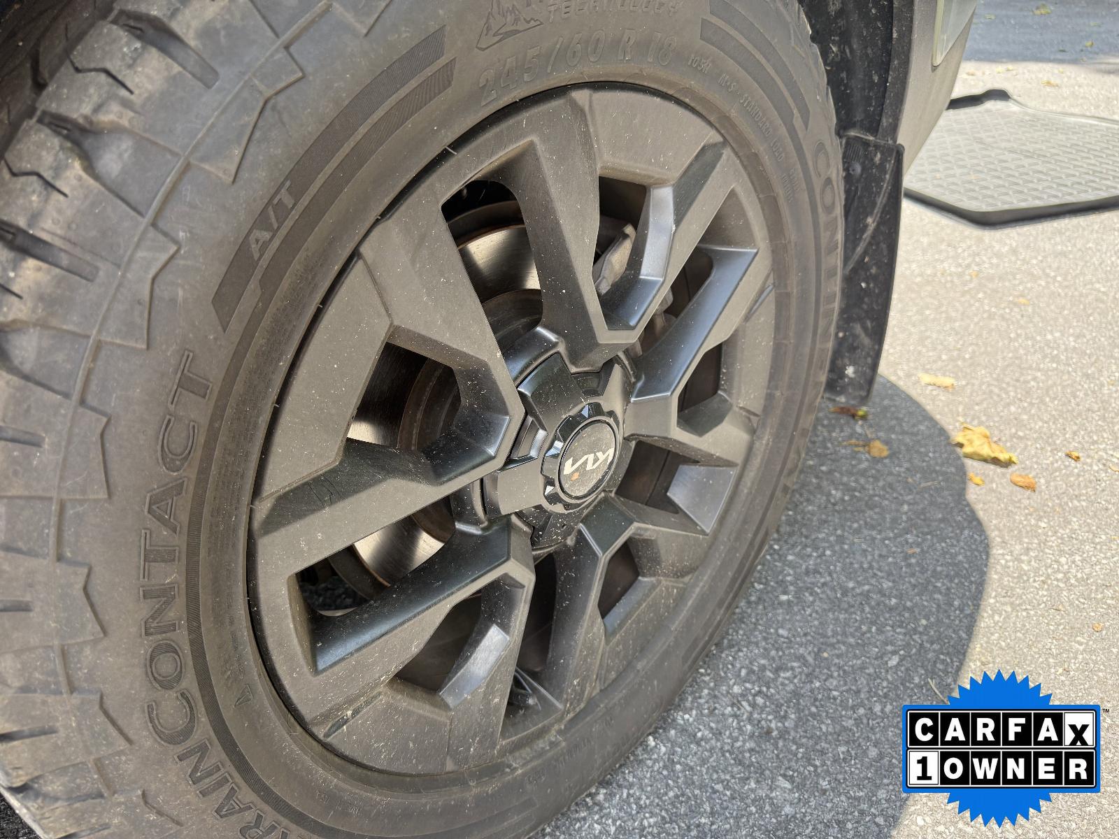2024 Kia Telluride Vehicle Photo in Harrisburg, PA 17111