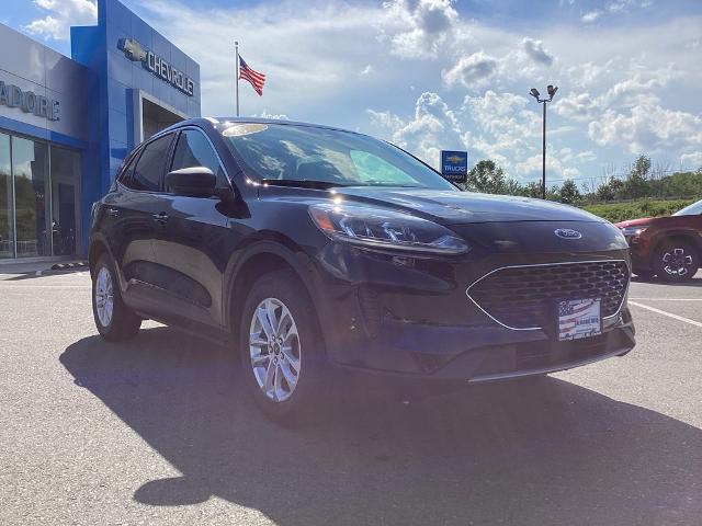 2022 Ford Escape Vehicle Photo in GARDNER, MA 01440-3110