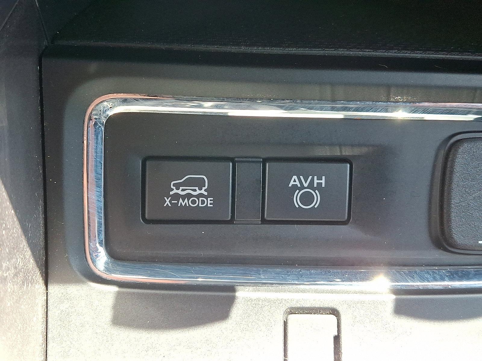 2019 Subaru Ascent Vehicle Photo in Harrisburg, PA 17111
