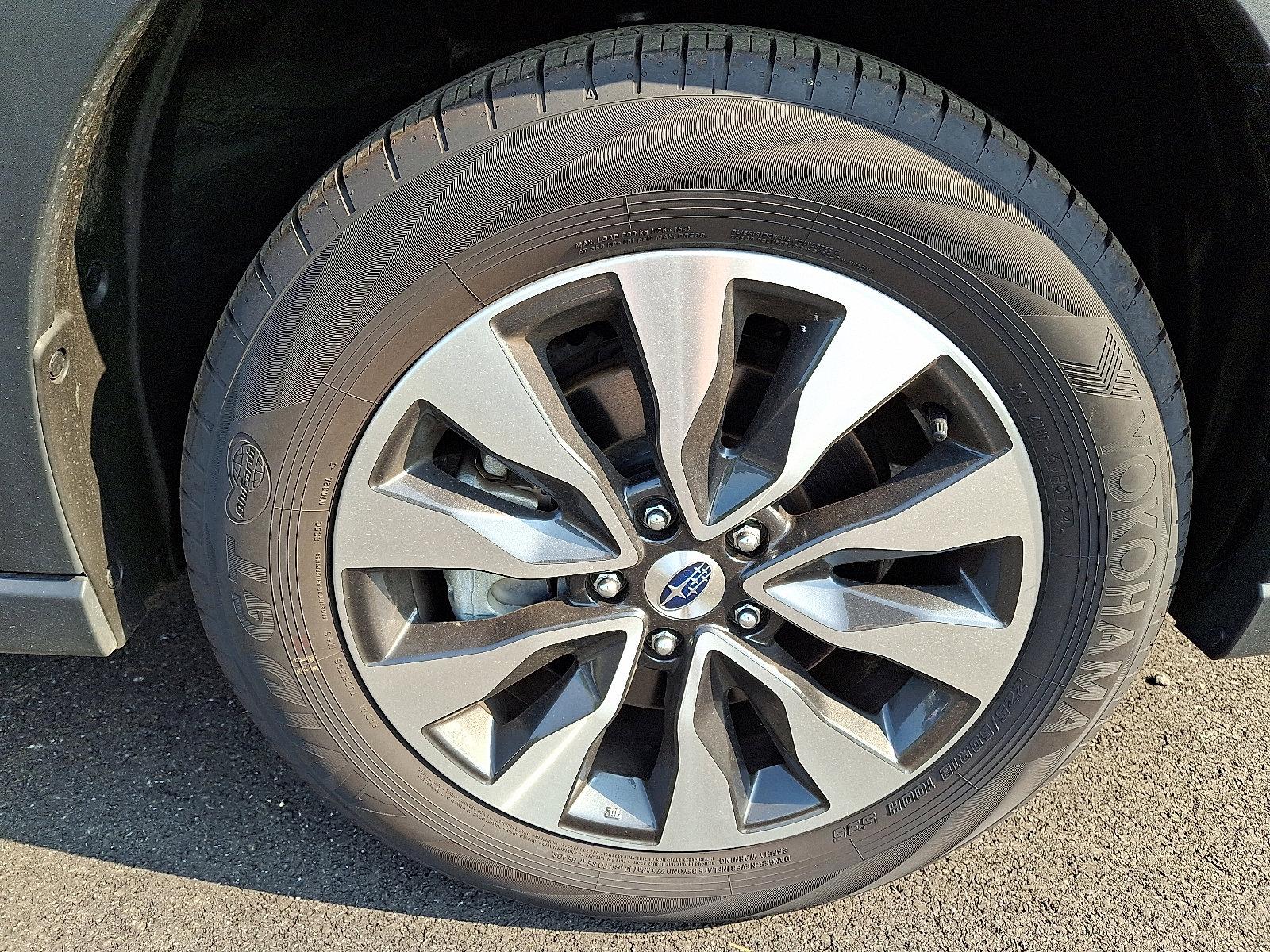 2024 Subaru Outback Vehicle Photo in Easton, PA 18045