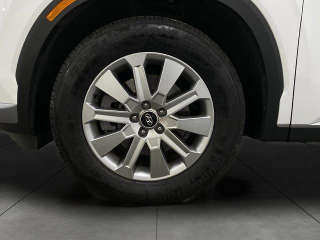 2024 Hyundai PALISADE Vehicle Photo in Appleton, WI 54913